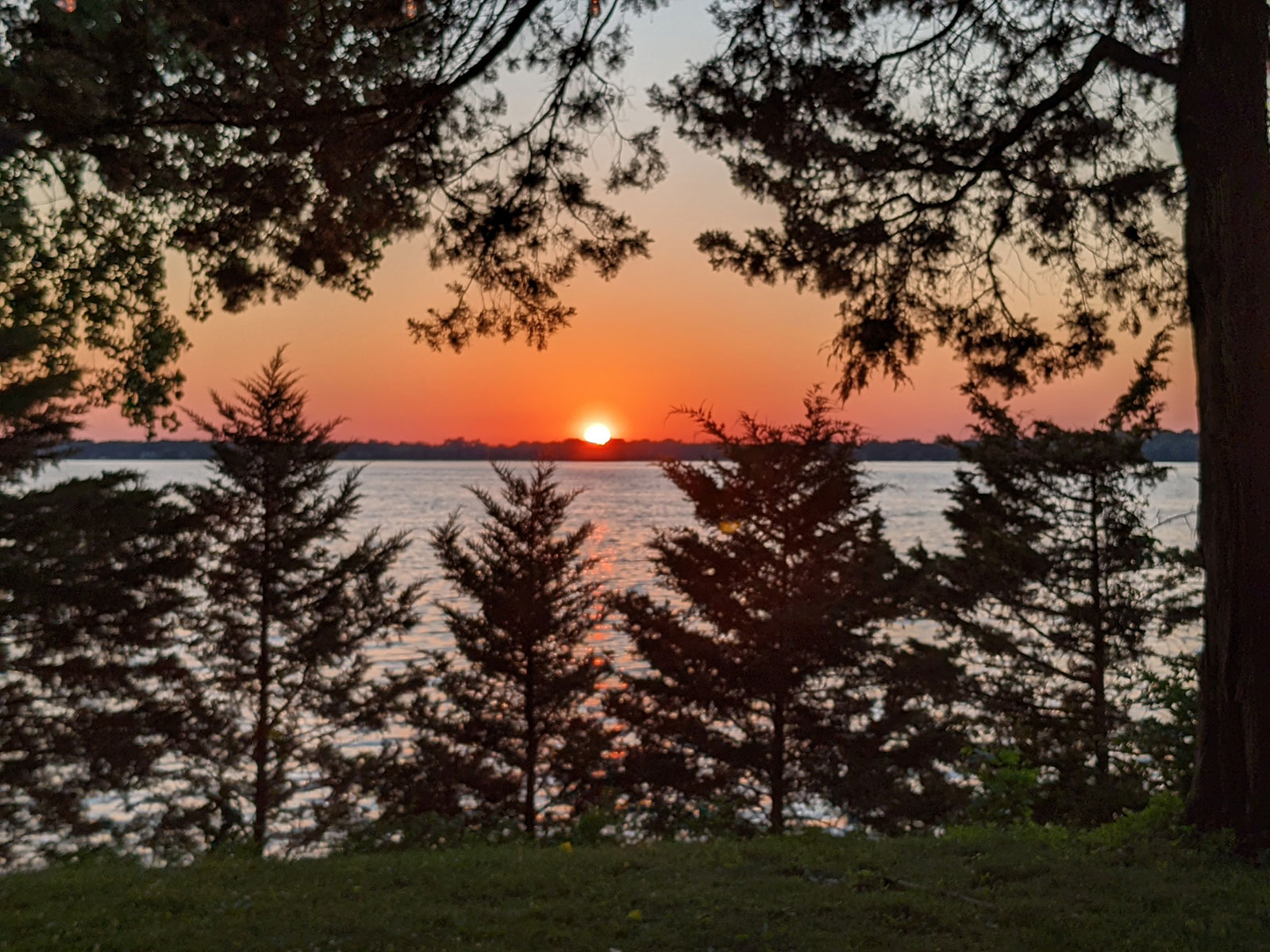 Carol-Bracewell-summer-photo-2022