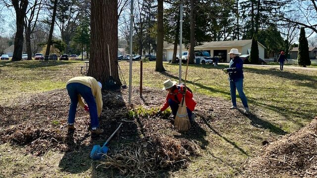 volunteers spreading mulch