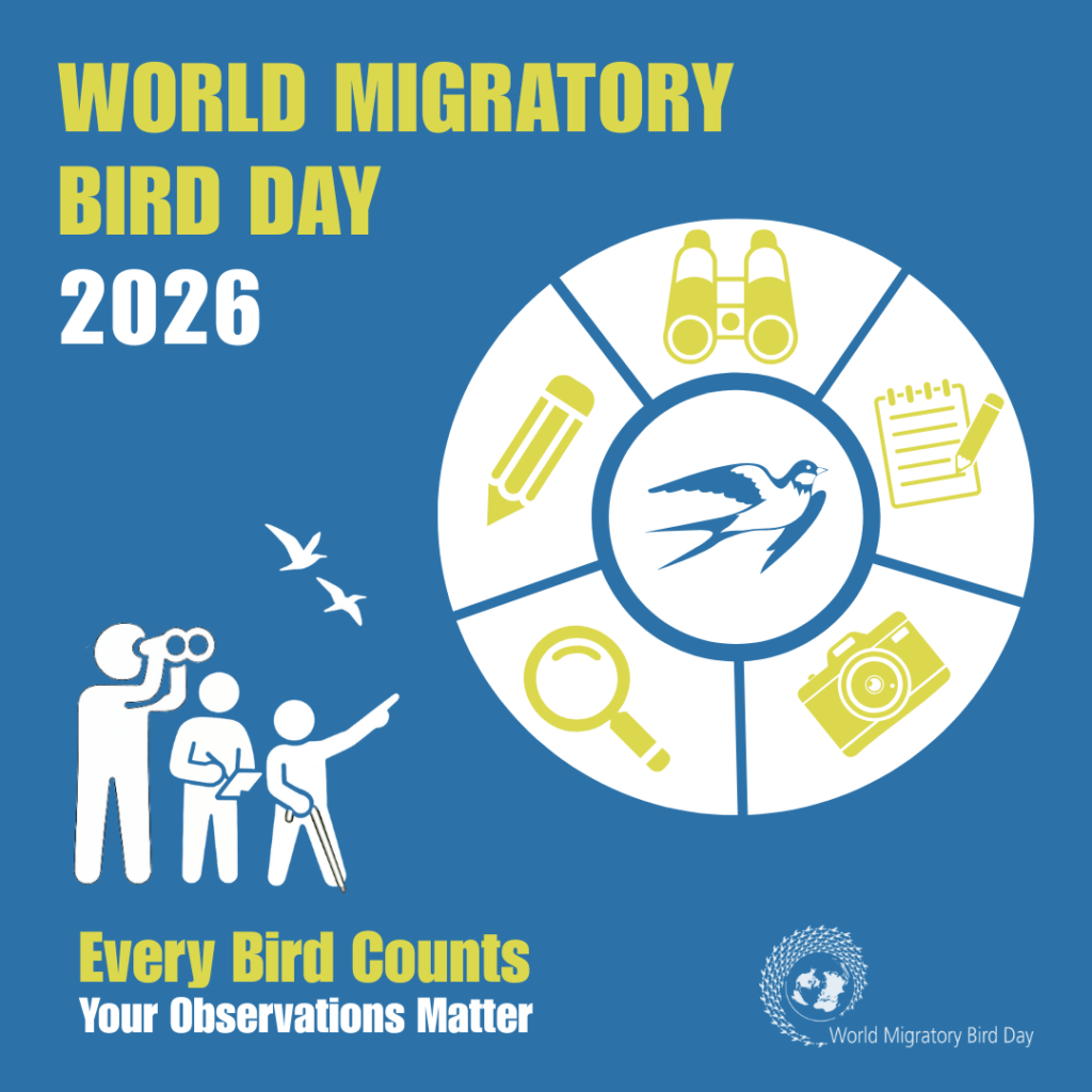World Migratory Bird Day Logo